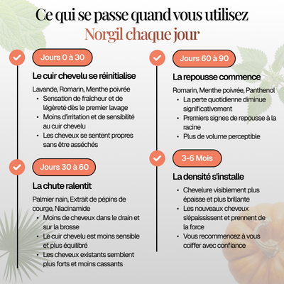 Rituel Anti-chute Essentiel