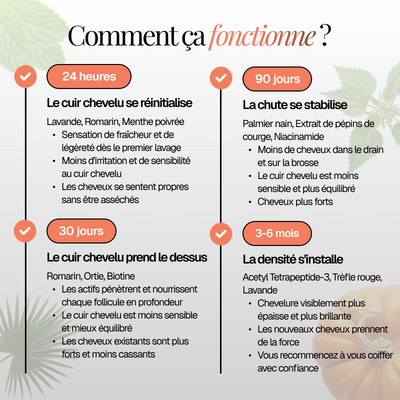 Rituel Équilibre Essentiel