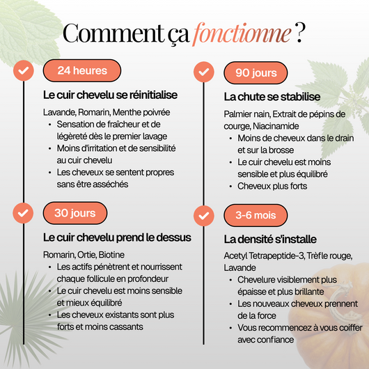 Rituel Équilibre Essentiel